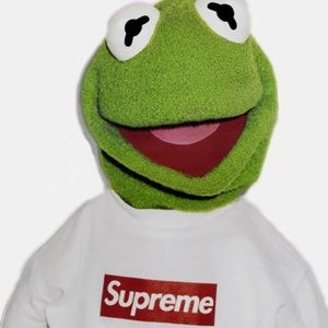 Meet your Posher, Daryl